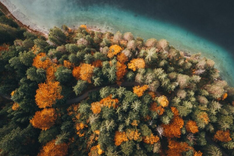 Warmińska posiadłość jako oaza spokoju: Twoje miejsce na idealny wypoczynek